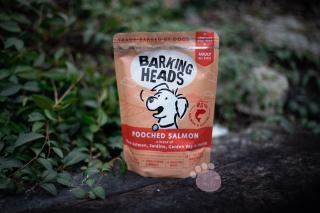 Barking Heads Pooched salmon