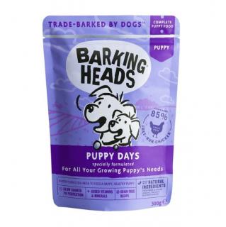 Barking Heads Puppy days