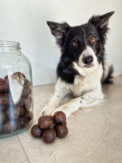 Protein ball Kus: 1