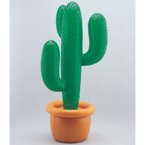 Kaktus nafukovací