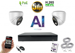 Monitorrs Security AI IP 2 kamerový set 5 Mpix WDome (6370K2) (Monitorrs Security)