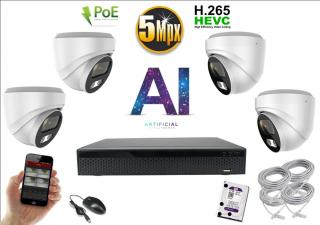 Monitorrs Security AI IP 4 kamerový set 5 Mpix WDome (6370K4) (Monitorrs Security)