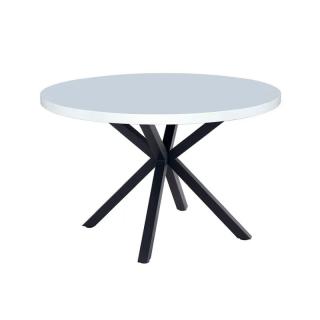 Jedálenský stôl, biela matná/čierna, priemer 120 cm