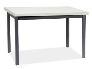 Jednoduchý jedálenský stôl 120, biely mat/čierna (n189460)