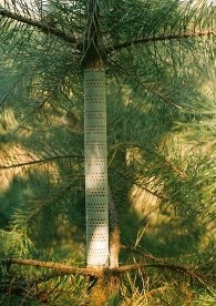 Samozatváracia sieť proti ohryzu 30 x 100 cm