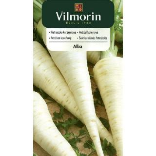 Vilmorin CLASSIC Petržlen koreňový ALBA stredne neskorý 3 g