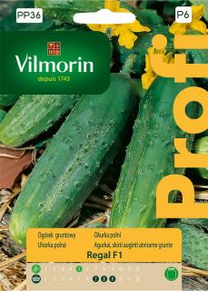 Vilmorin PREMIUM Uhorka poľná REGAL F1- skorá 15 z g