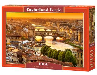 Bridges of Florence (104826)