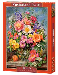 Castorland Puzzle June Flowers in Radiance 1000 Dielikov (103904)