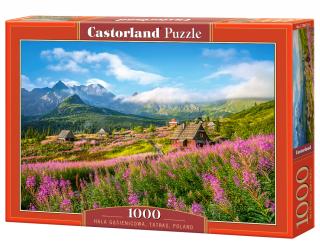 Puzzle Castorland Hala Gąsienicowa, Tatras, Poland 1000 Dielikov (104512)