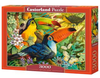 Puzzle Castorland Interlude 3000 Dielikov (300433)