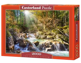 Puzzle Castorland The forest stream 2000 Dielikov (200382)