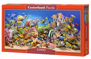 Puzzle Castorland Underwater life 4000 Dielikov (400089)