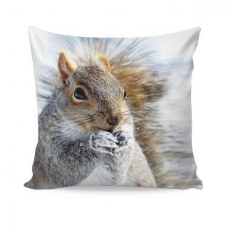 DEKORAČNÝ NÁVLEK SQUIRREL Materiál: Bavlnený satén, Rozmer: 50x50cm