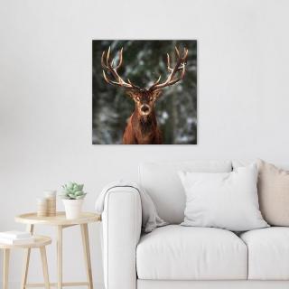 Obraz Deer Rozmer: 60x60cm