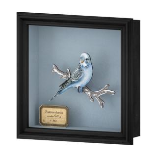 Celestino - 3D papagáj v ráme