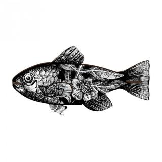 Vertigo - dekoratívna ryba na stenu aj policu