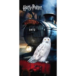 Froté osuška Harry Potter 03 70x140 cm 100% bavlna