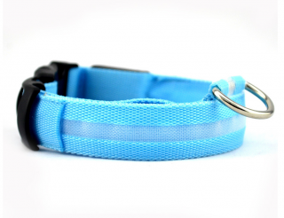 Palkar svietiaci obojok z popruhu pre psov 40-54 cm x 25 mm modrá
