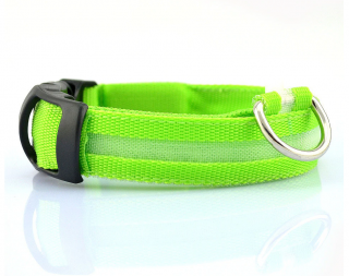 Palkar svietiaci obojok z popruhu pre psov 40-54 cm x 25 mm zelená