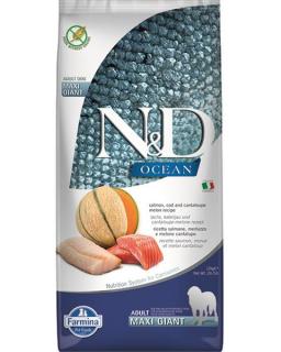 Farmina N&amp;D dog OCEAN (GF) adult giant maxi salmon &amp;melon 12 kg + DOPRAVA ZDARMA