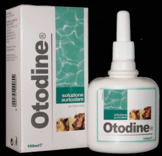 Otodine 100 ml