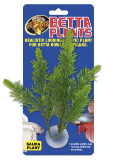 Betta Plant – Šalvia