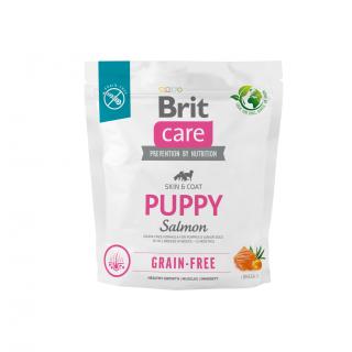 Brit Care Dog Grain-free Puppy, 1kg