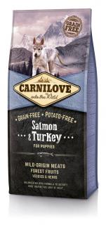 Carnilove Salmon & Turkey for Puppy 12kg - losos a moriak