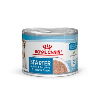 Royal Canin CHN MINI STARTER MOUSSE 195 g