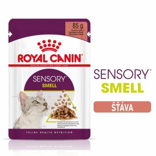 Royal Canin kapsička FHN Sensory Smell v šťave 12 x 85g