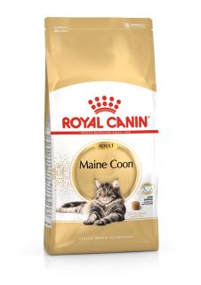 Royal Canin Maine Coon 31 10kg