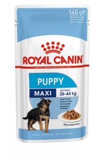 Royal Canin SHN MAXI PUPPY 10 x 140 g
