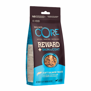 Wellness Core Reward Dog Skin and Coat losos 170g