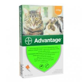 Advantage 40 10% 4x0,4ml pre mačky do 4kg