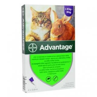 Advantage 80 10% 4x0,8ml pre mačky nad 4kg