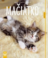 Mačiatko – Ako na to