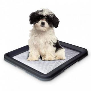 Nobby Doggy Trainer Small toaleta 48 x 41 x 3,5 cm