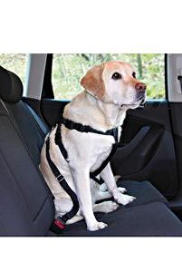 Postroj pes bezpečnostný do auta S Trixie
