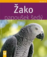 Žako papoušek šedý - Jak na to (česky)