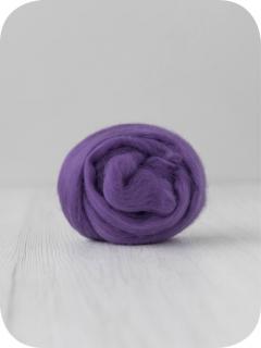 100 g Fialka Violet 19 DHG (Violet)