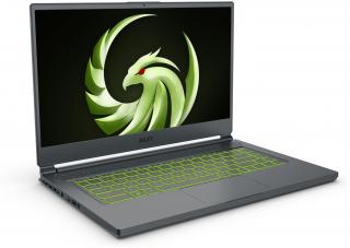 MSI Alpha 15 B5EEK-084XFR