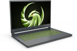 MSI Delta 15 A5EFK-042FR
