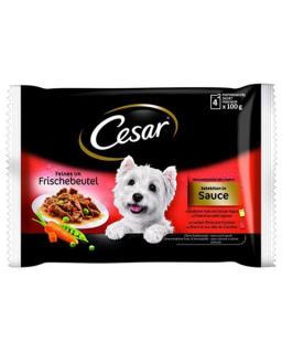 Mars CESAR kapsička dog Selection mix v omáčke