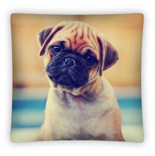 DETEXPOL Obliečka na vankúšik Mops Polyester, 40/40 cm