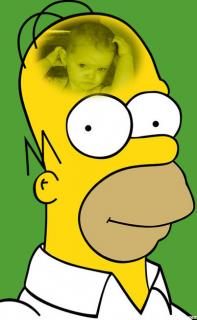 10. Homer