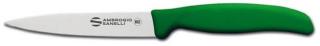 Odkosťovací nôž Supra Colore, Ambrogio Sanelli, Zelená, (L)230mm