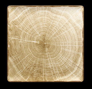 RAK Woodart talíř čtvercový 30 × 30 cm – mechově zelená | RAK-WDEDSQ30MG