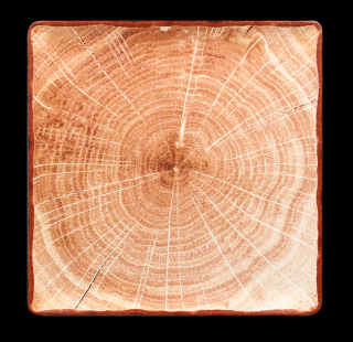 RAK Woodart talíř čtvercový 30 × 30 cm – světle hnědá | RAK-WDEDSQ30TB