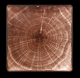 RAK Woodart talíř čtvercový 30 × 30 cm – tmavě hnědá | RAK-WDEDSQ30OB